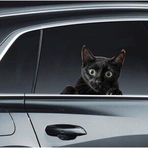 *NEW* Funny Cat Car Window Decal - Black Cat 7" High